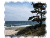 �hus